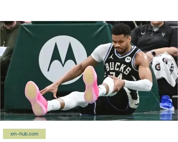 字母哥拒绝参加雄鹿3对3对抗训练 但仍愿复出参赛引发关注 字母哥拒绝参加雄鹿3对3对抗训练 但仍愿复出参赛引发关注